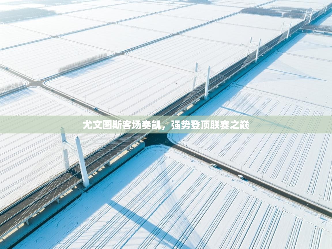 尤文图斯客场奏凯，强势登顶联赛之巅  第1张