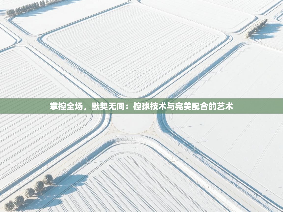掌控全场，默契无间：控球技术与完美配合的艺术  第1张