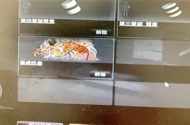 爱游戏体育-鏖战五局，怒海狂鲨终于强势突围，赢下信心之战